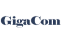 Gigacom Semiconductor LLC