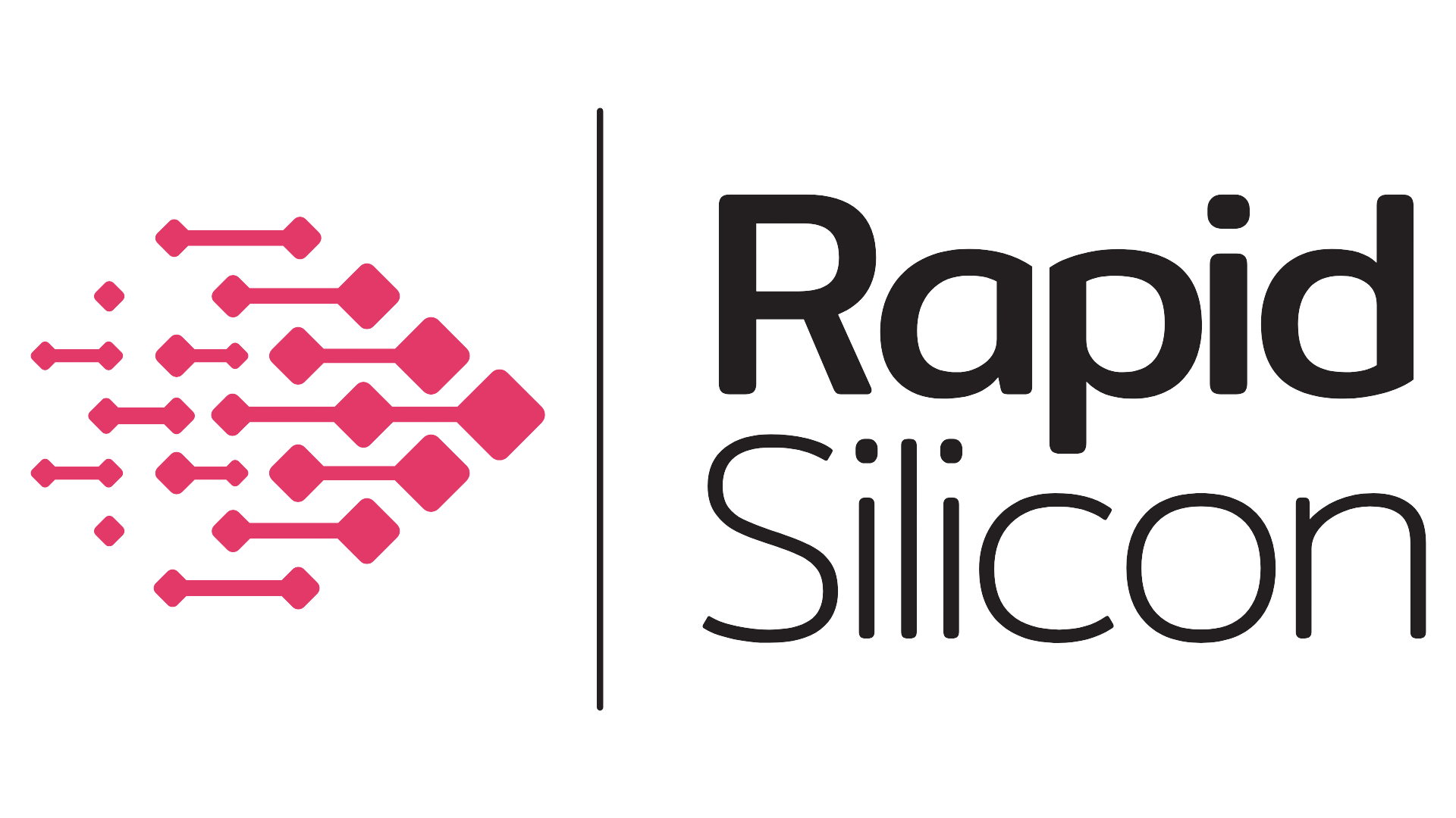 Rapid Silicon