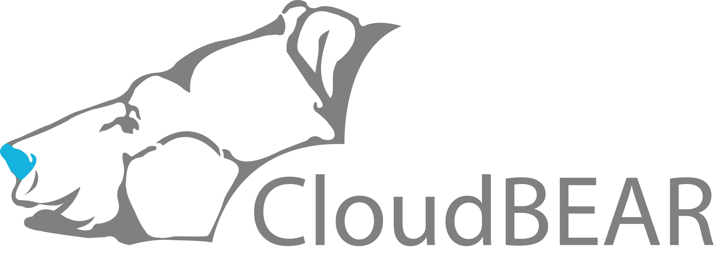 Cloudbear