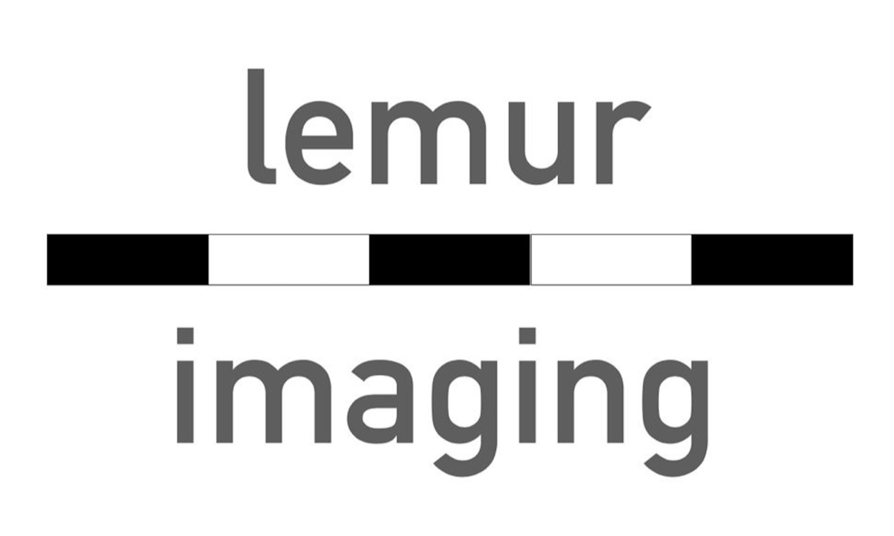 Lemur-Imaging Ltd.
